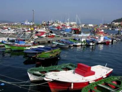 Panorámica del puerto de Muros, cuyas embarcaciones se dedican principalmente a la pesca de arrastre.  EFE/Archivo