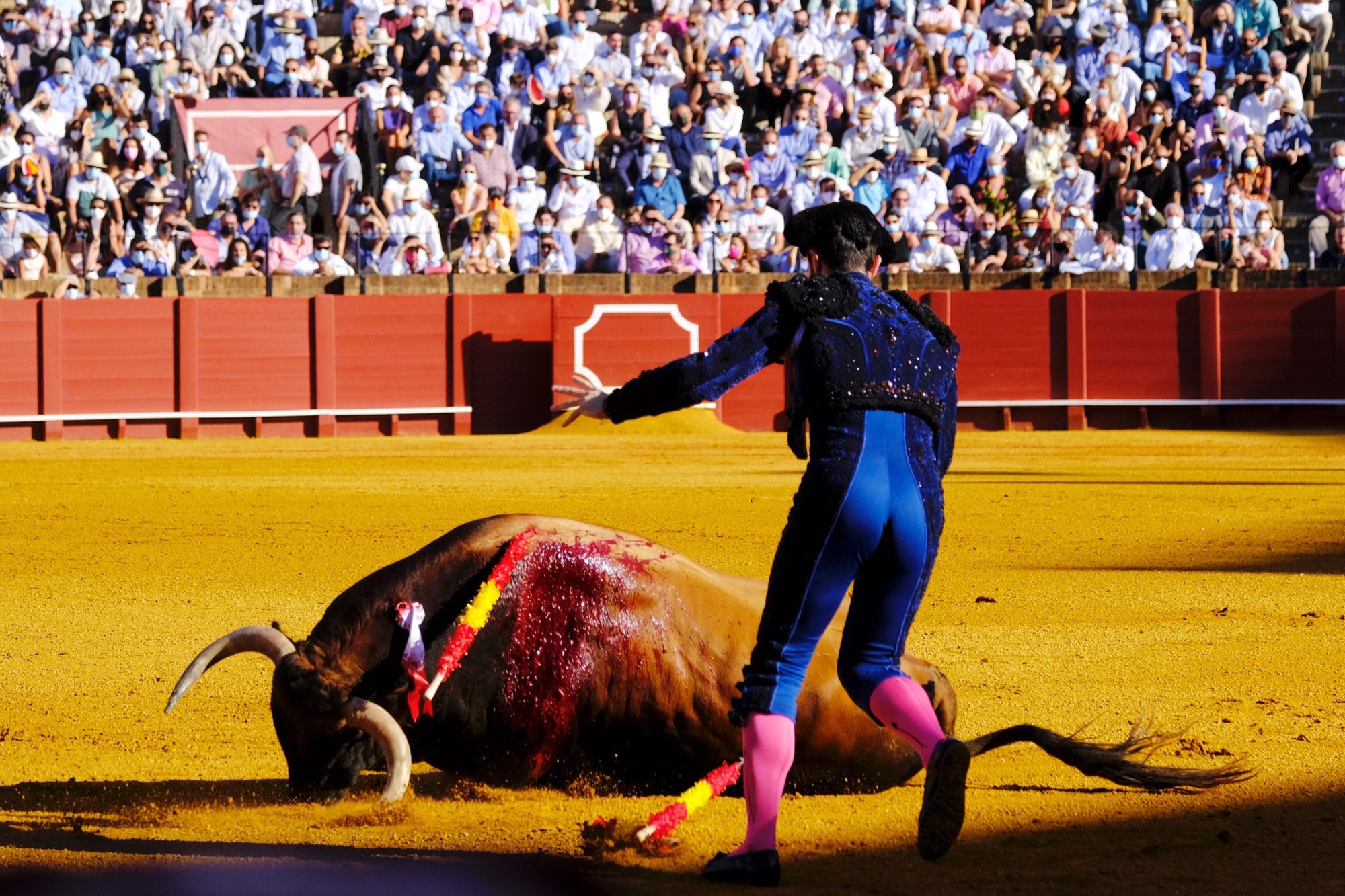 Un toro desplomado en La Maestranza de Sevilla.