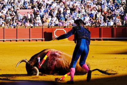 Un toro crollato a La Maestranza di Siviglia.