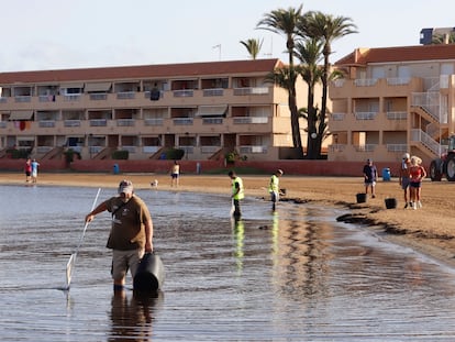 Operarios en las labores de limpieza en la playa de Puerto Bello de La Manga del Mar Menor (Murcia).