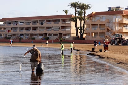 Operarios en las labores de limpieza en la playa de Puerto Bello de La Manga del Mar Menor (Murcia).