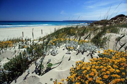 Playa de las Illetas, en Formentera.