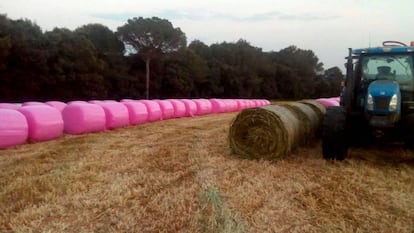 Bales de palla en un camp gironí.