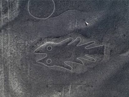 Imagem em alta resolução de um geoglifo em forma de peixe.