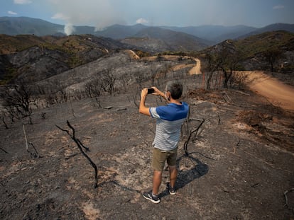 Vista general de la zona quemada en el incendio de Sierra Bermeja, que afecta a la localidad de Estepona y que ha obligado a desalojar a más de mil vecinos.