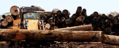Un operario mueve con el tractor los troncos confiscados en un aserradero ilegal cerca de la localidad de Tailandia, en el Estado brasileño de Pará.