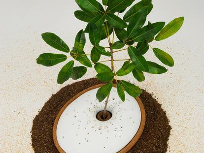 Diseño para renacer