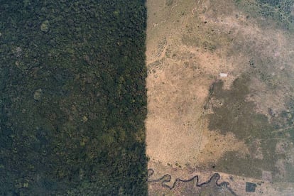 Deforestación en la selva Lacandona en el municipio de Marqués de Comillas, Chiapas, en octubre de 2019. Los invasores y talamontes han contribuido a que esta selva haya visto reducida su extensión en un 70%.