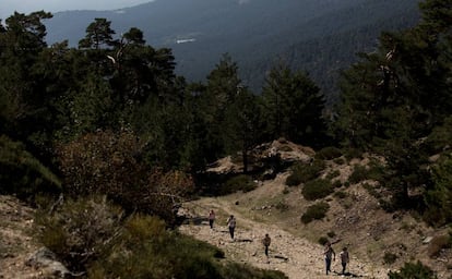 Ruta de Cercedilla al puerto de la Fuenfr&iacute;a, en la sierra de Guadarrama. 