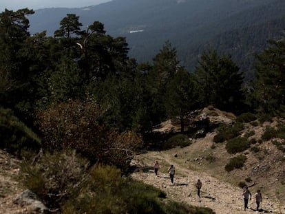 Ruta de Cercedilla al puerto de la Fuenfr&iacute;a, en la sierra de Guadarrama. 