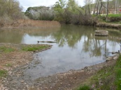 El Tajo a su paso por Aranjuez en la actualidad.