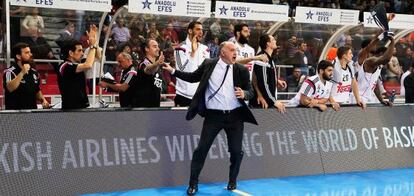 Laso celebra la victoria con el banquillo madridista