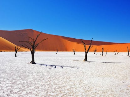 Los lugares a los que viajarán los españoles en 2020