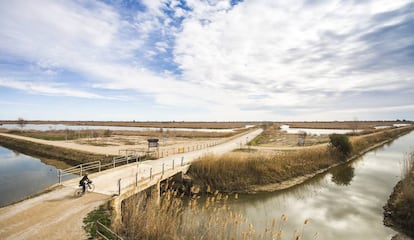 Ruta ciclista a la laguna de la Encayissada, en el delta del Ebro (Tarragona).