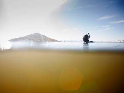 Un buceador, en el mar Menor en 2019, durante una de las mayores crisis de este entorno natural de los últimos años.