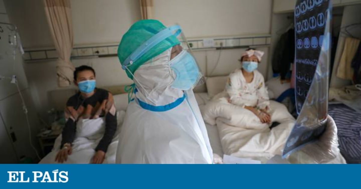 elpais.com