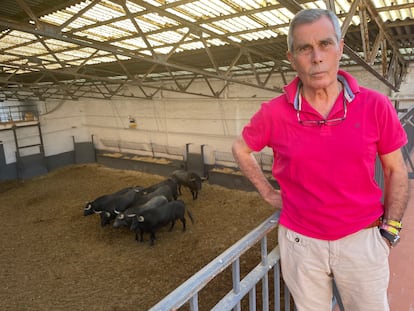 Florito, en los corrales de la plaza de Las Ventas.