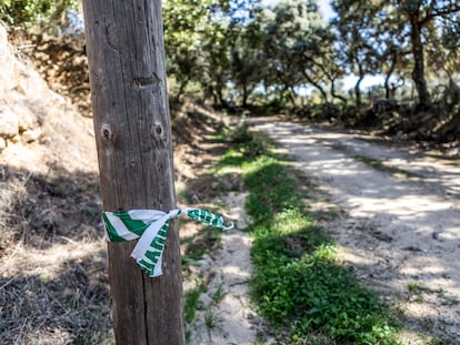 Zona en la que la Guardia Civil ha localizado el cuerpo de Belén, que había salido a montar en bicicleta a las afueras de Pelahustán (Toledo).
