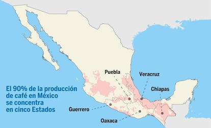 Distribución territorial del cultivo de café en México.