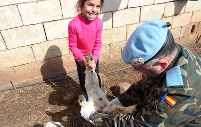 Carrasco diagnosing a lamb with enteritis.