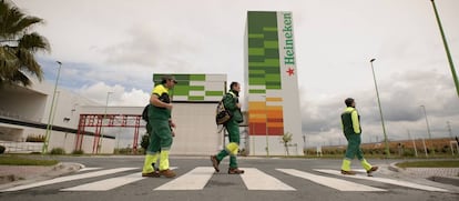 Trabajadores de la fábrica de Heineken en Sevilla.