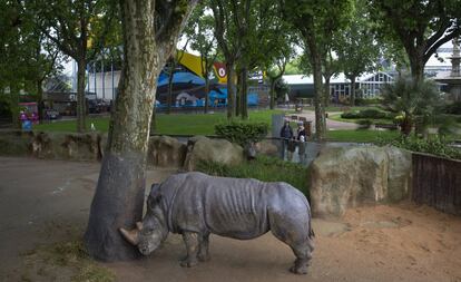 El pleno del Ayuntamiento de Barcelona ha modificado, en la mañana de este viernes, la ordenanza de protección de los animales para transformar la instalación en el primer parque zoológico “animalista” de Europa. En la imagen, un ejemplar de rinoceronte en el zoo de Barcelona.