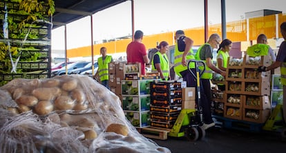 El Banco de Alimentos recibe productos que no pudieron ser vendidos, pero que están aptos para el consumo. También llegan palets con algunas frutas dañadas. Se hace una selección y reparten las los alimentos a entidades benéficas y no a individuos.