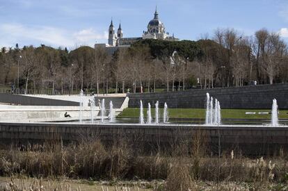 Orilla del Manzanares, con la vegetación que ha brotado al dejar fluir el río en primer término y la catedral de la Almudena al fondo.