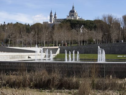 Orilla del Manzanares, con la vegetación que ha brotado al dejar fluir el río en primer término y la catedral de la Almudena al fondo.