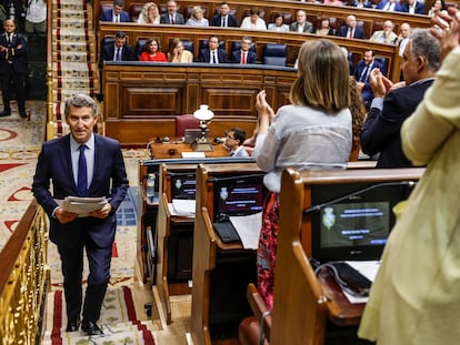 El líder del PP, Alberto Núñez Feijóo, regresa a su escaño tras intervenir en el pleno del pasado miércoles.