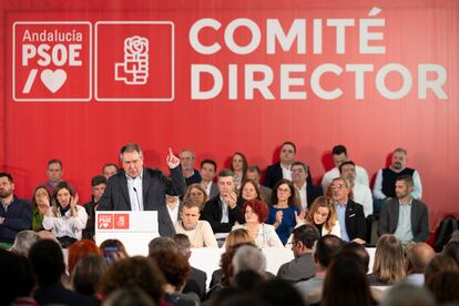 El secretario general del PSOE-A, Juan Espadas, durante su intervención en el comité director de su formación, celebrado en Sevilla. 