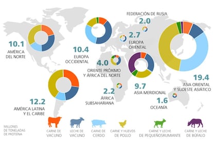 Producción ganadera mundial por región (leche y huevos expresados en proteínas).