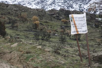 Zona quemada en la localidad de Solosancho.