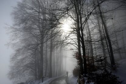 Un hombre camina junto a su perro por un bosque en Berna (Suiza), el 4 de marzo de 2018.  