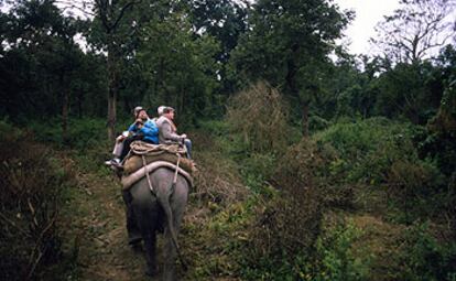 Por el parque nacional Jim Corbett, en la India, a lomos de elefante.