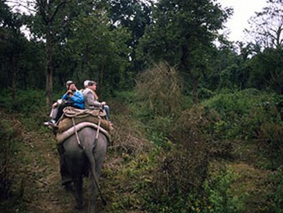 Por el parque nacional Jim Corbett, en la India, a lomos de elefante.