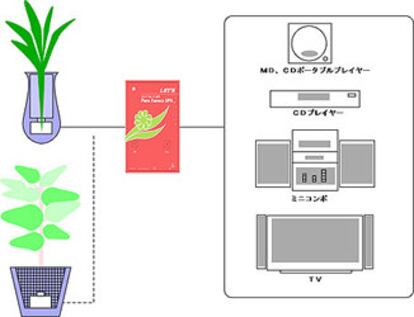 Las plantas, introducidas en un cilindro, vibran produciendo sonido al recibir una corriente eléctrica