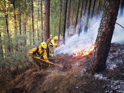 La superficie quemada ocupa ya 1.000 hectáreas. Poco después de detectarse el incendio, la Guardia Civil detuvo a un vecino de 55 años que había estado trabajando en las inmediaciones con una máquina de soldadura. En la imagen, una brigada combate este domingo el incendio que se declaró al mediodía del sábado en Gran Canaria.