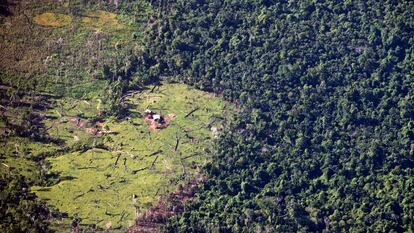 Bosque tropical, considerado patrimonio comunal del grupo indígena Miskito, parcialmente talado para la cría de ganado en Murubila (Nicaragua), en una fotografía de archivo.