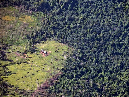 Bosque tropical, considerado patrimonio comunal del grupo indígena Miskito, parcialmente talado para la cría de ganado en Murubila (Nicaragua), en una fotografía de archivo.