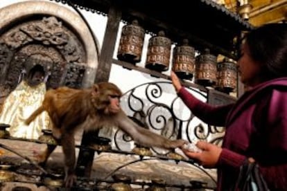 Una visitante ante los rodillos de oración del templo budista de Swayambhu, en Katmandú (Nepal).