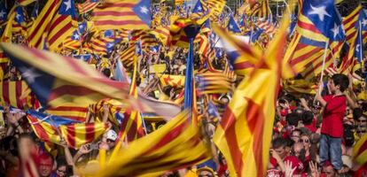 Manifestants a la Diagonal de Barcelona el dia de la Diada.