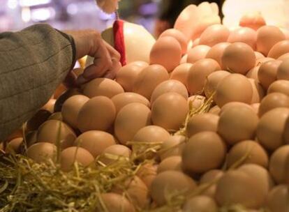 Puesto de huevos en un mercado de Barcelona.