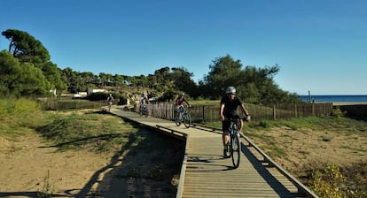 Desde la costa escarpada a las llanuras del interior. La ruta nos va descubriendo un paisaje cambiante, sembrado de vid y de olivo, con playas desiertas y profundos bosques.