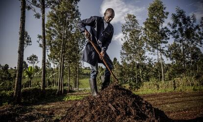 Un agricultor prepara abono orgánico en una granja en el condado de Kiambu, Kenia.