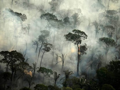 Amazônia em chamas