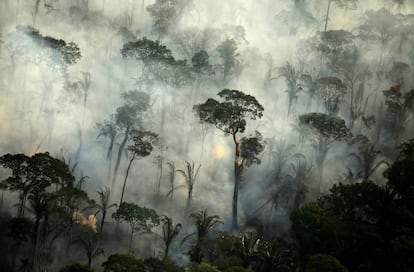 Amazônia em chamas