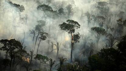 Amazônia em chamas