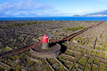 Rodeado de viñas, el Moinho do Frade en isla de Pico, Azores en Portugal