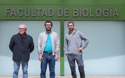 Peces Guadalquivir contaminados por metales pesados